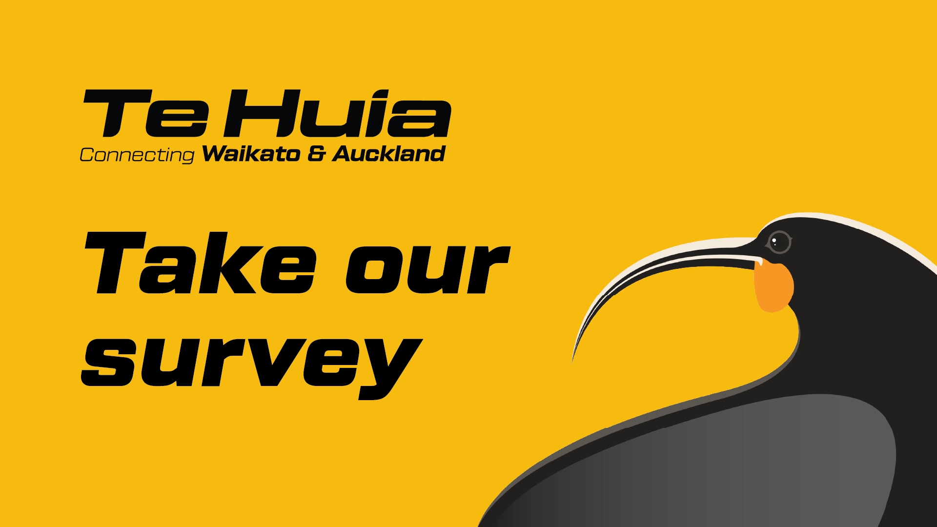 Take our survey